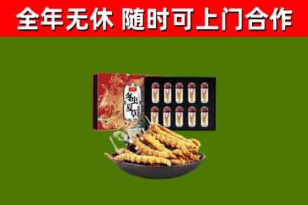 绥棱县烟酒回收冬虫夏草礼盒.jpg